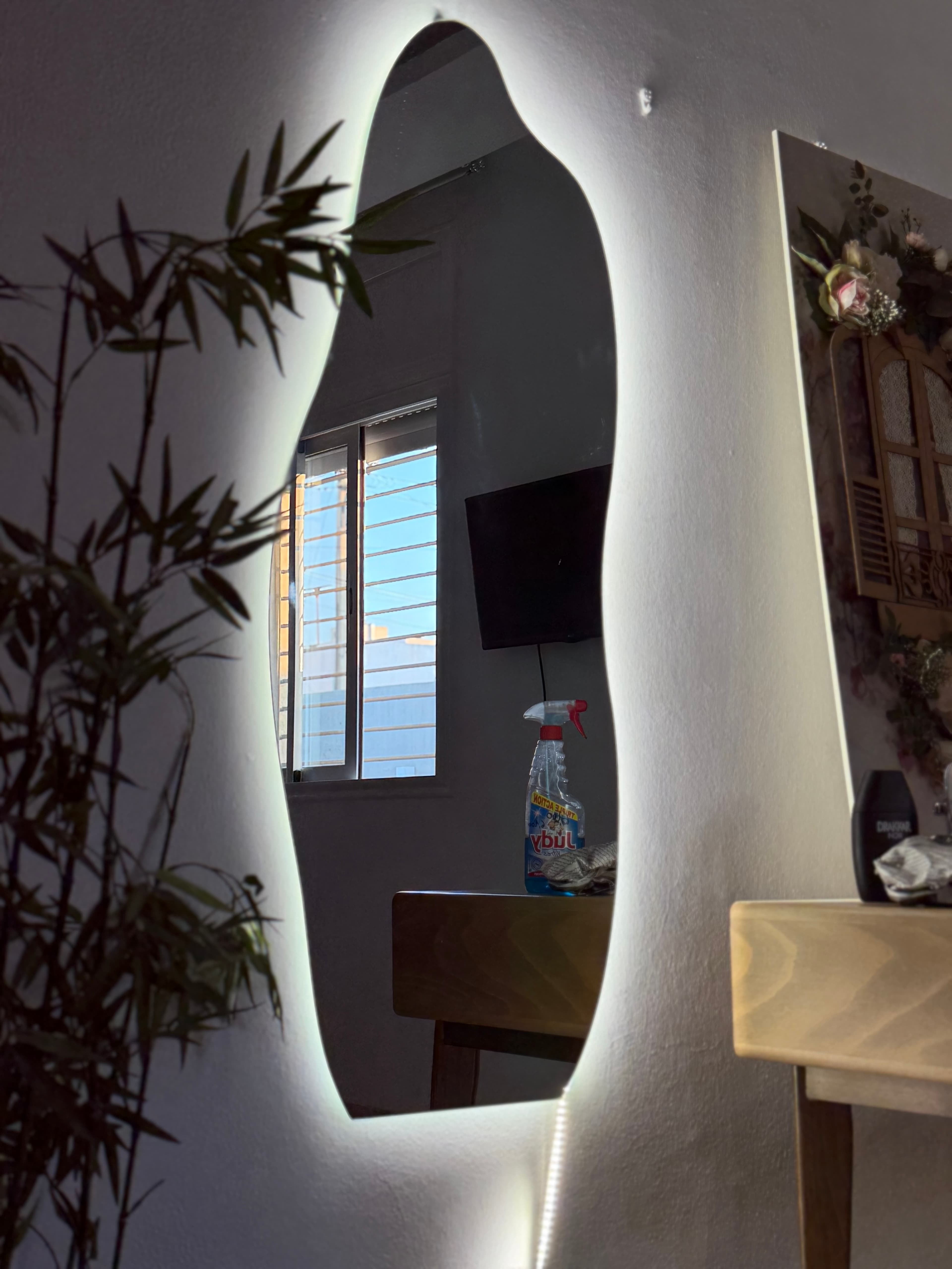 Miroir Organique